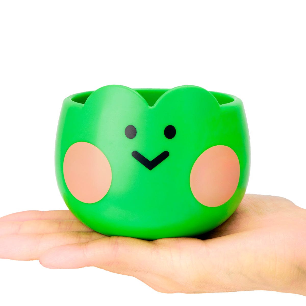 LINE FRIENDS Greenery lenini PLANT POT