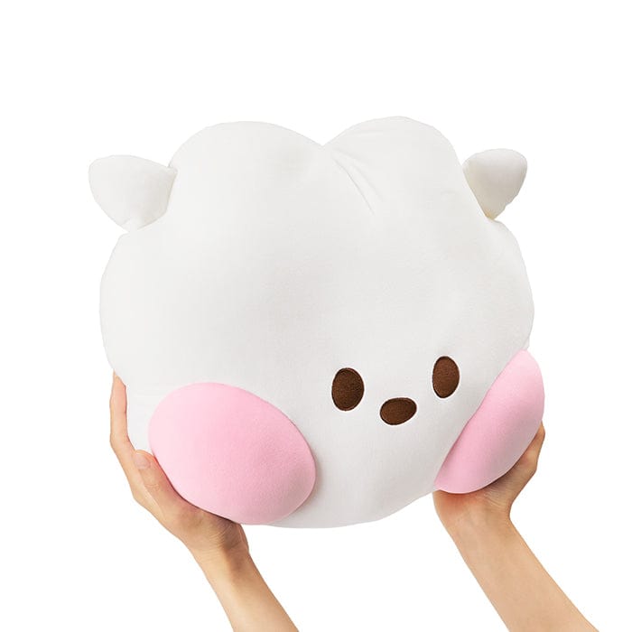 LINE FRIENDS LIVING RJ BT21 RJ minini BIG HEAD CUSHION (7182462615725)